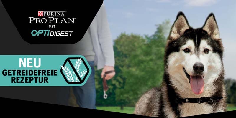 Purina Hundefutter gratis